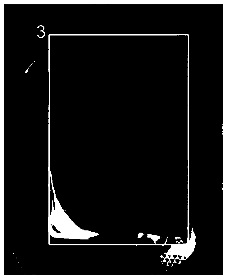 Identification method and device for characters in card and certificate and computing equipment