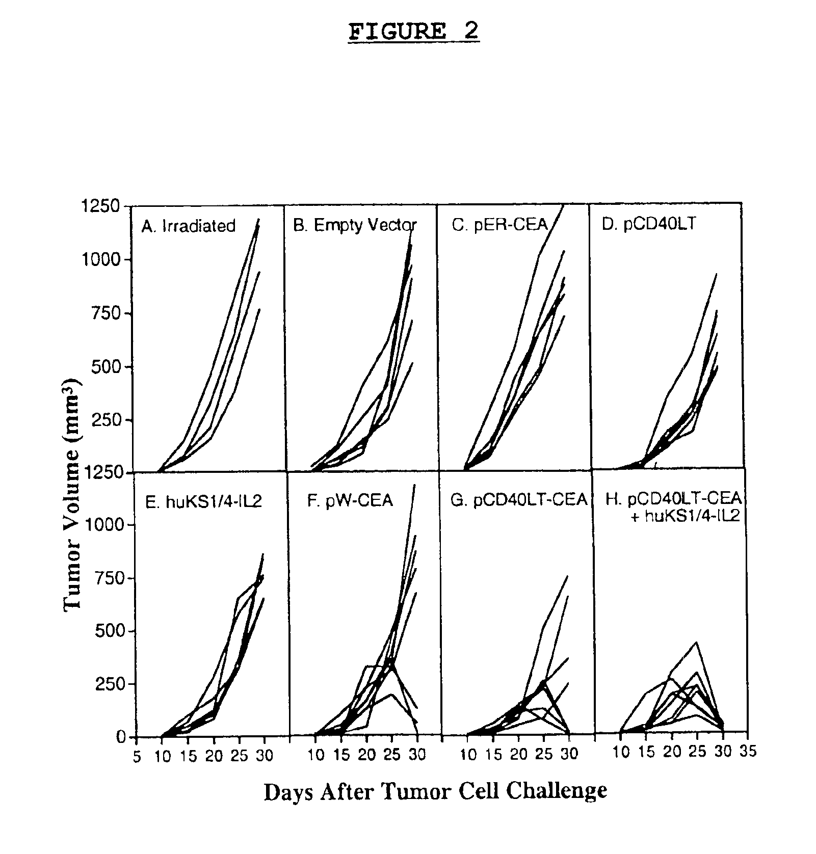 DNA vaccines encoding CEA and a CD40 ligand and methods of use thereof