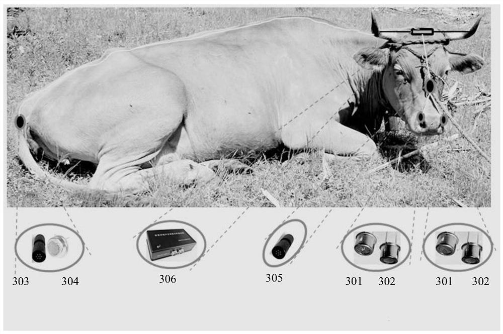 Method and device for monitoring animal health status