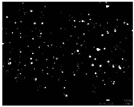 Method for preparing nano Ag/polymer antimicrobial film by utilizing irradiation method