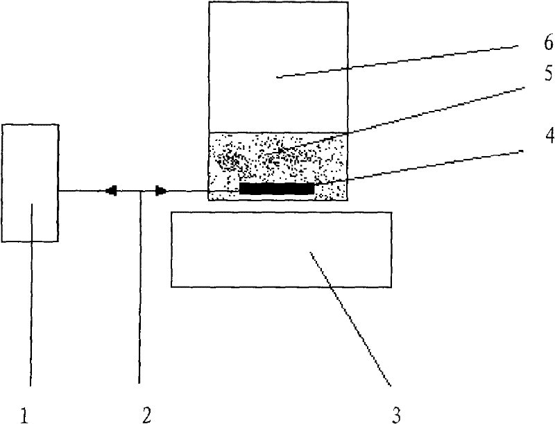 Rapid detection method for detecting whole blood coagulation function