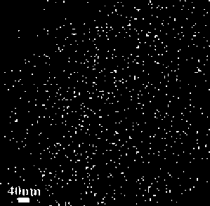 Monolithic titanium oxide-aluminum oxide material and preparation method thereof