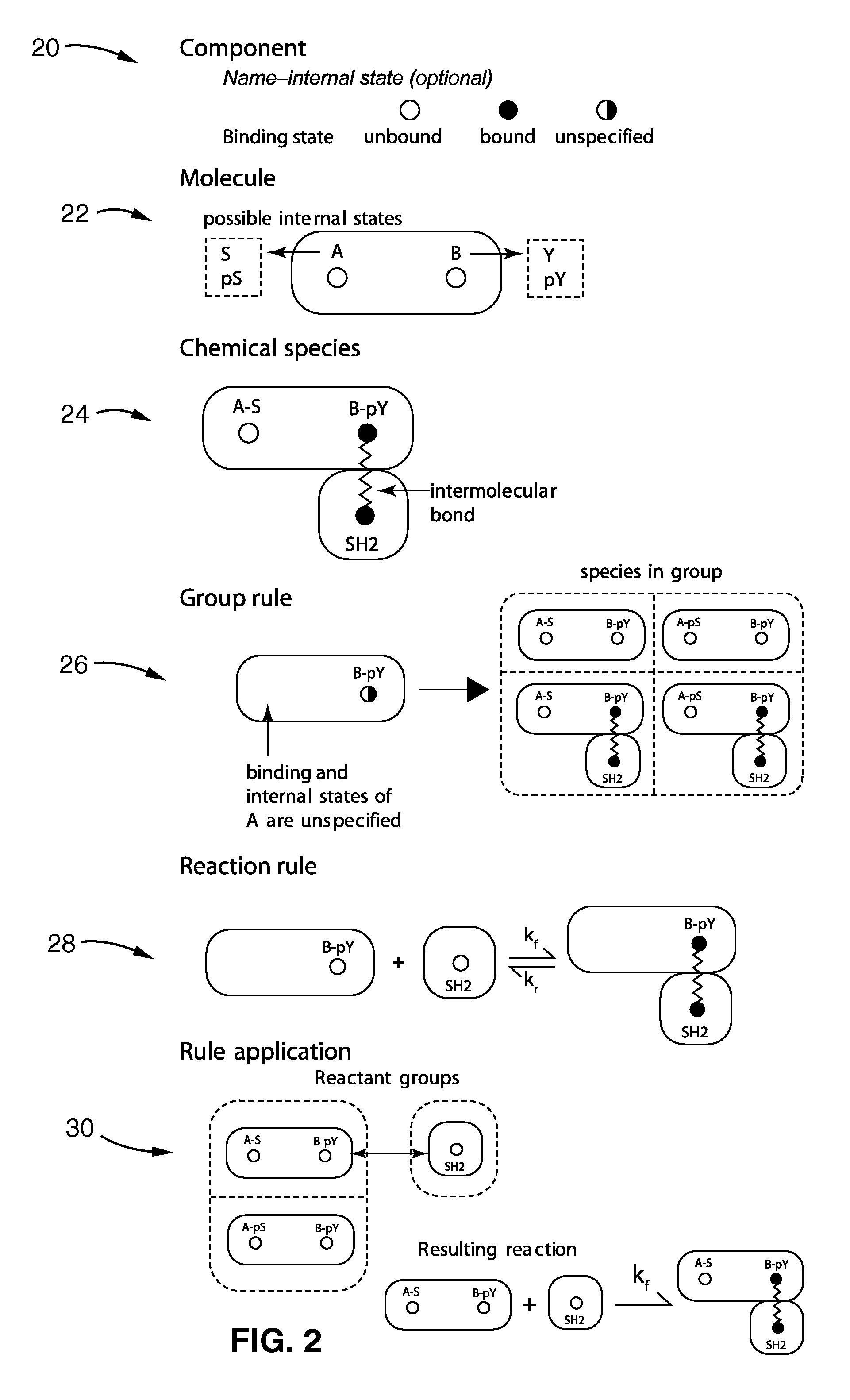 Graphical rule based modeling of biochemical networks