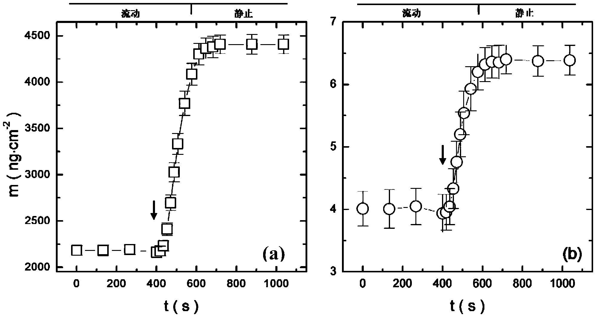 Real-time and in-situ quantitative determination method of mass of solution in thin polymer film and viscoelasticity of thin polymer film