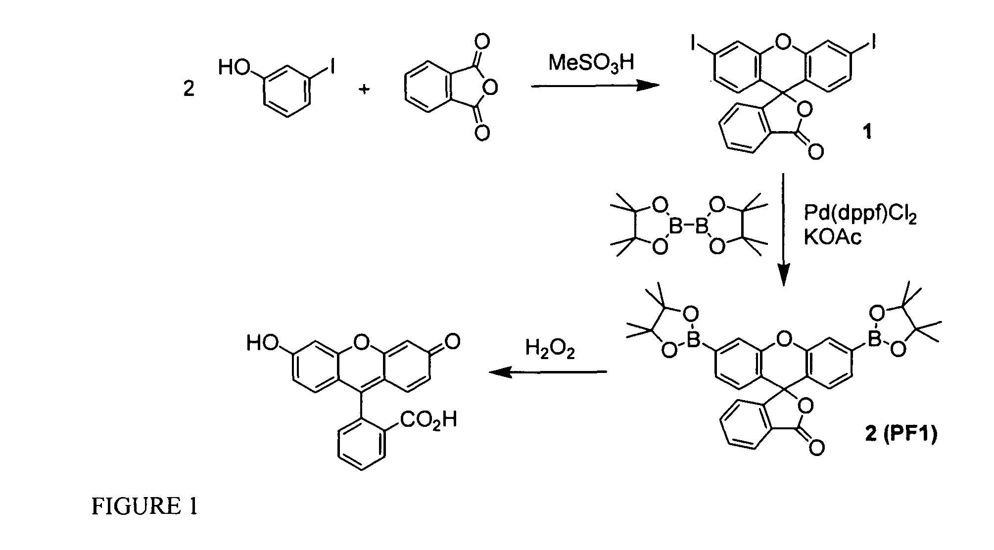 Fluorogenic probes for reactive oxygen species