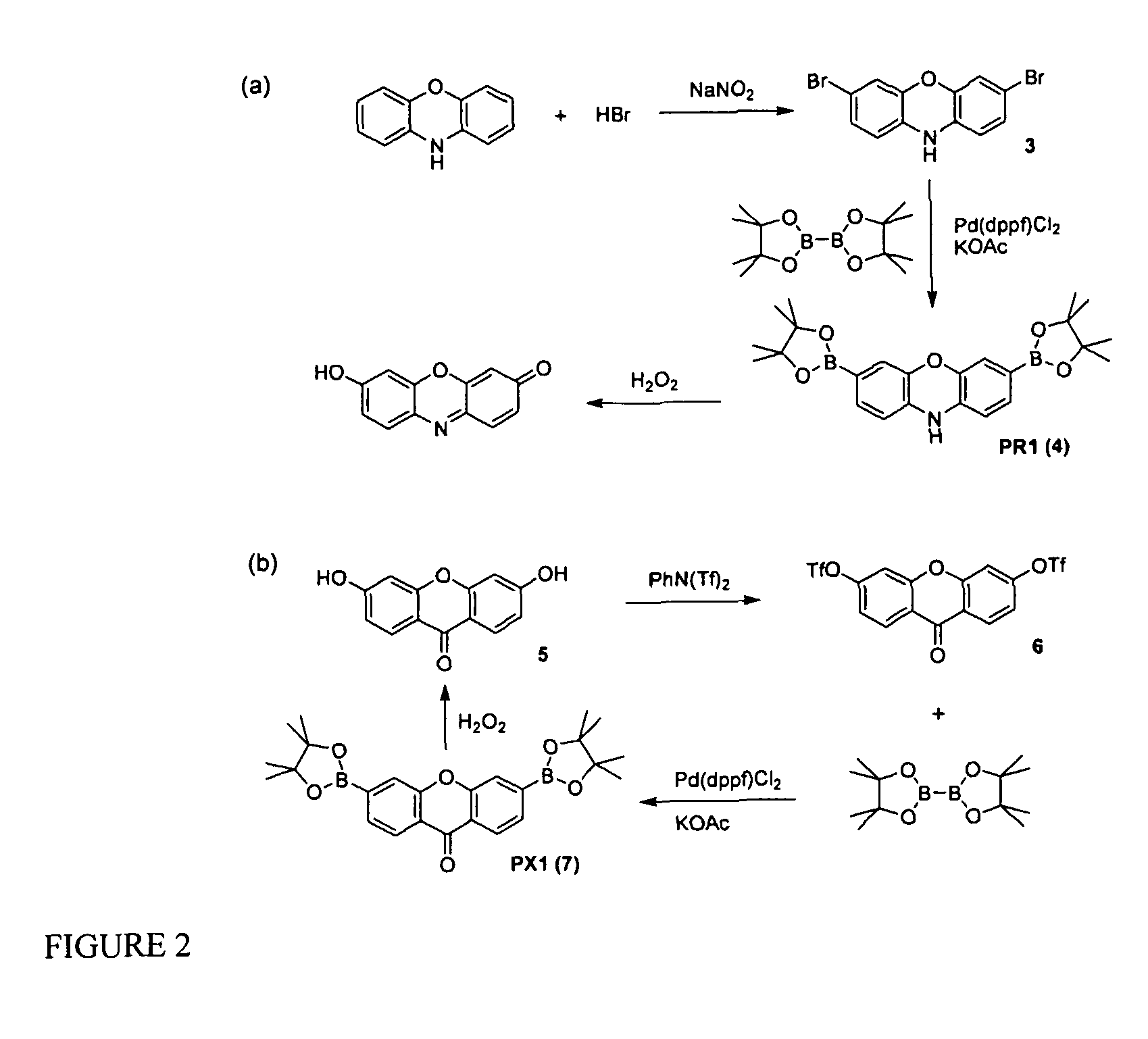 Fluorogenic probes for reactive oxygen species