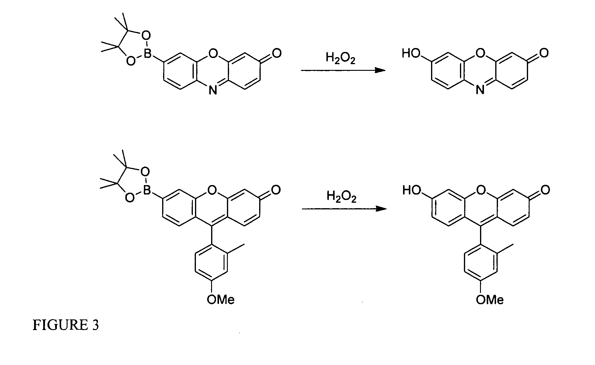 Fluorogenic probes for reactive oxygen species