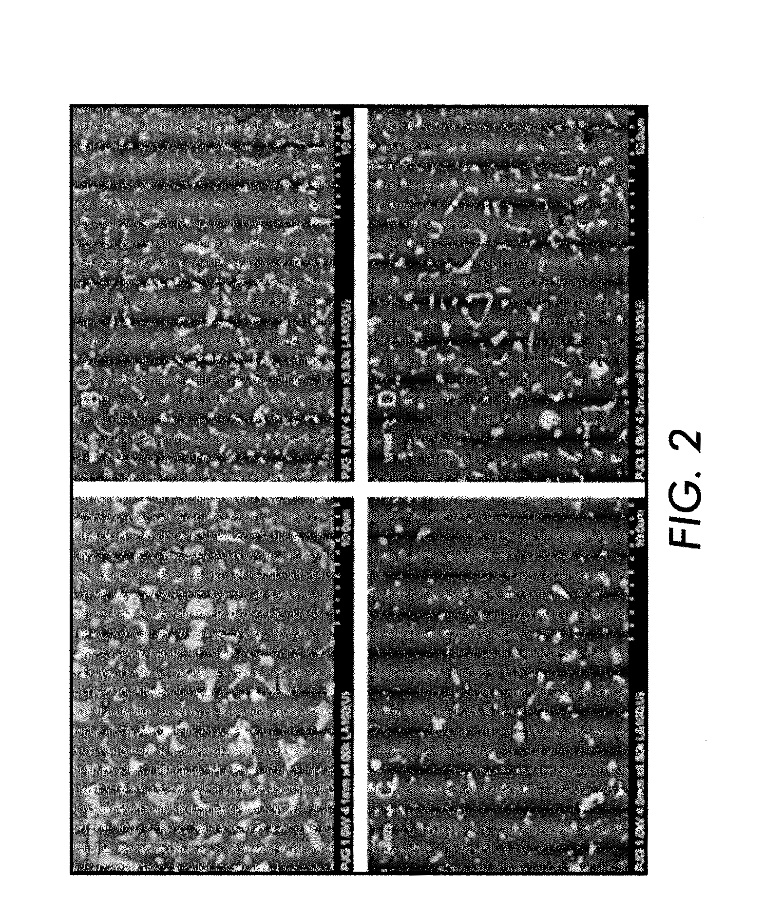 Latex carrier coating and methods for making the same