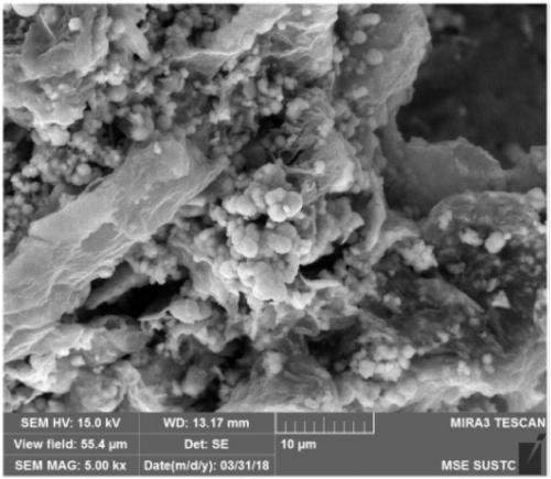 Coral-shaped copper-molybdenum-sulfur microsphere embedded graphene nano sheet and synthesis method and application thereof