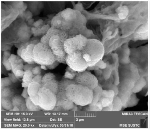 Coral-shaped copper-molybdenum-sulfur microsphere embedded graphene nano sheet and synthesis method and application thereof