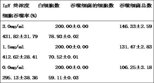 Preparation method and application of anti-influenza virus, Streptococcus pneumoniae, Staphylococcus composite IGY antibody