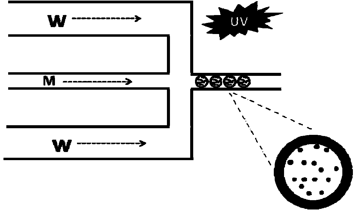 Method for preparing white fluorescent quantum dot composite particles by microfluid method