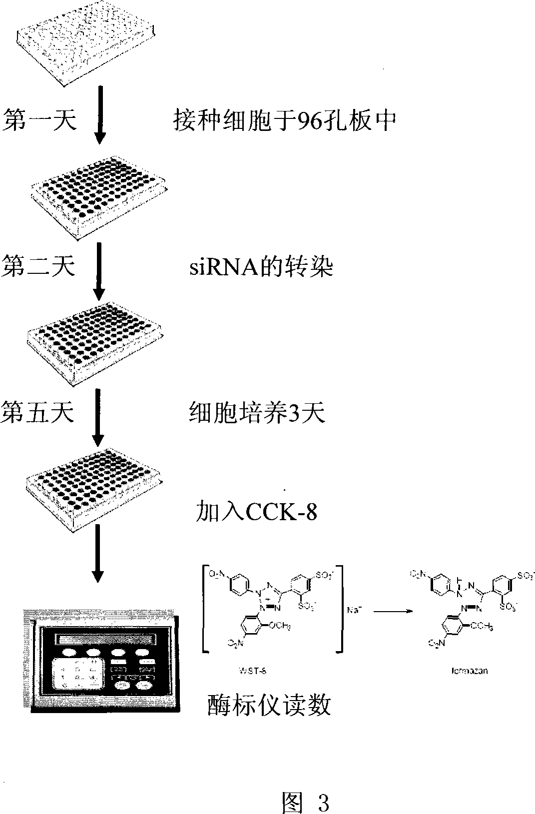 Uses of CXorf41 gene