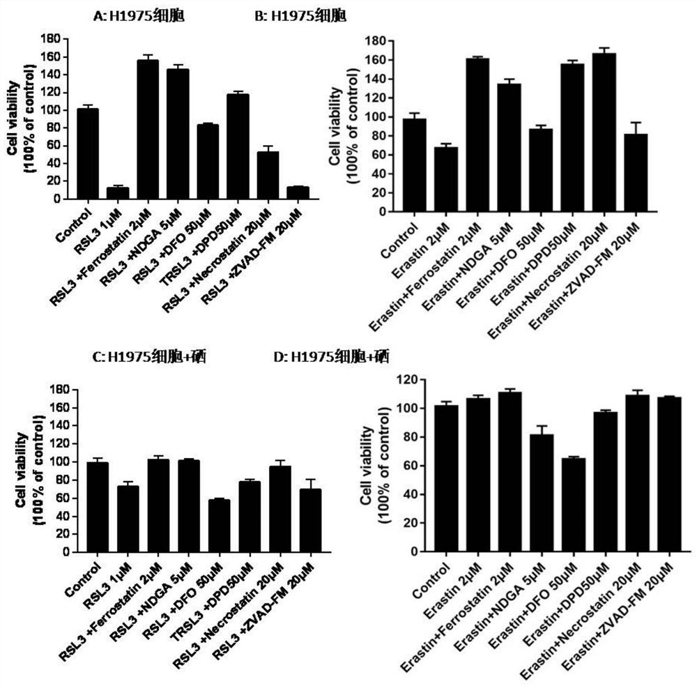 Ferroptosis inhibitor drug for activating cell GXP4 enzyme and application of ferroptosis inhibitor drug