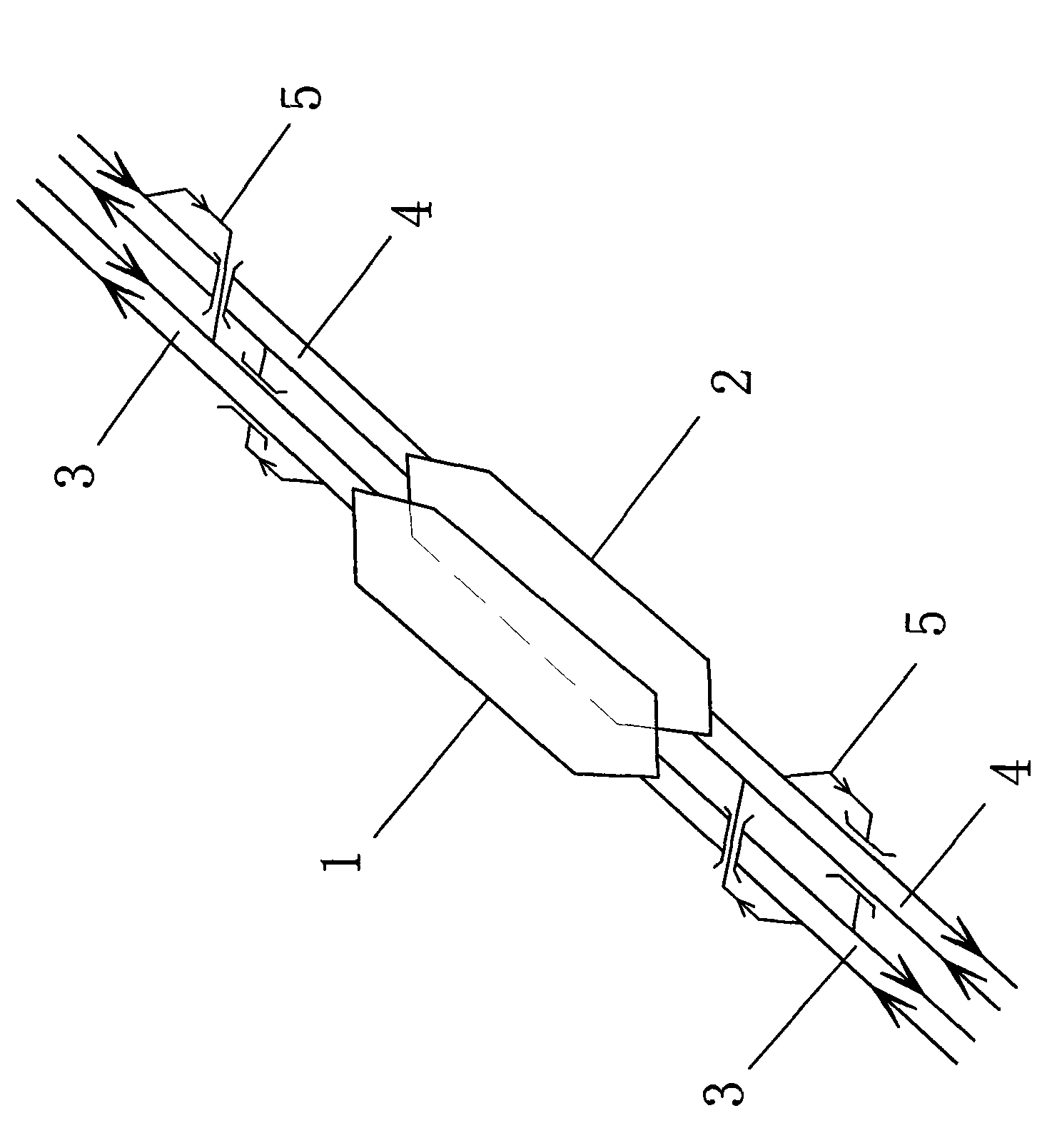 Large passenger station structure for passenger special line