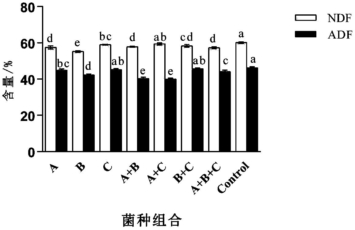 Solid-state fermentation method of moringa stem leaf powder