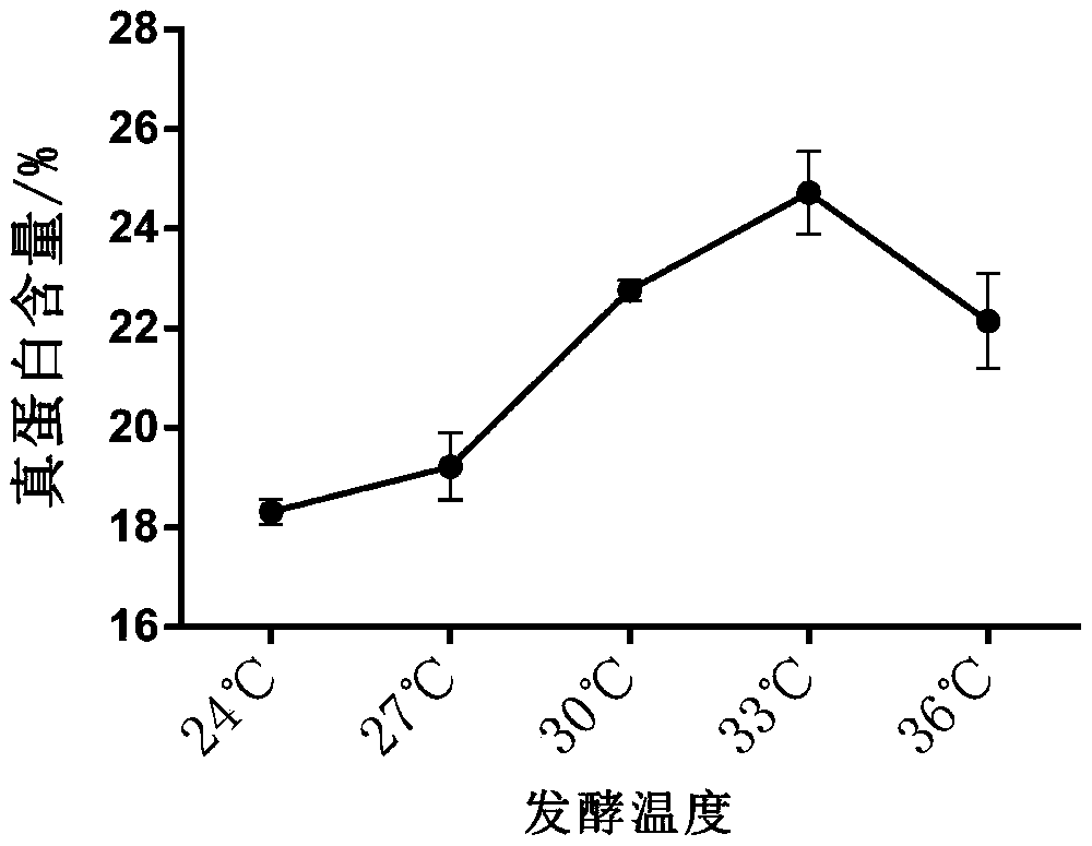 Solid-state fermentation method of moringa stem leaf powder