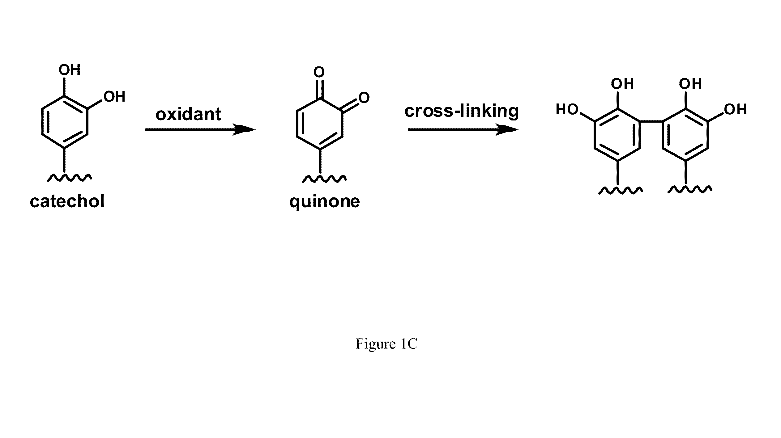 Antifouling hydrogels, coatings, and methods of synthesis and use thereof