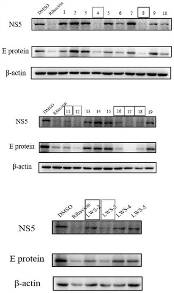 Application of histamine receptor inhibitors and derivatives thereof in the preparation of anti-Zika virus drugs