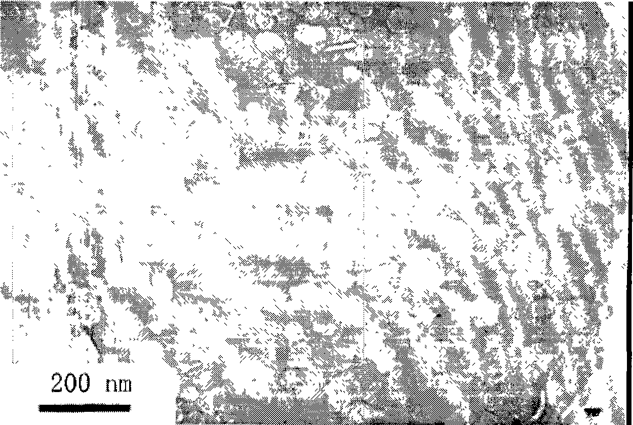 Preparation of nano magnesium hydrate