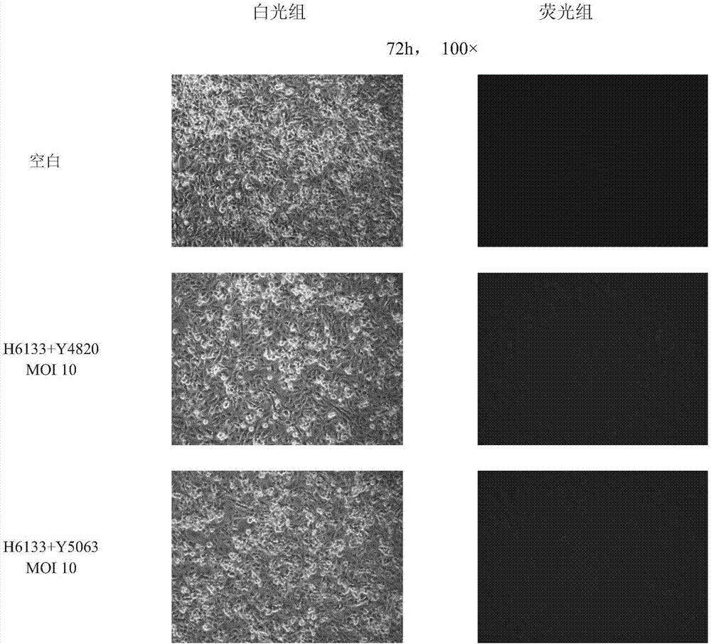 gRNA target sequences for endogenous overexpression of 1ncRNA-XIST and application thereof