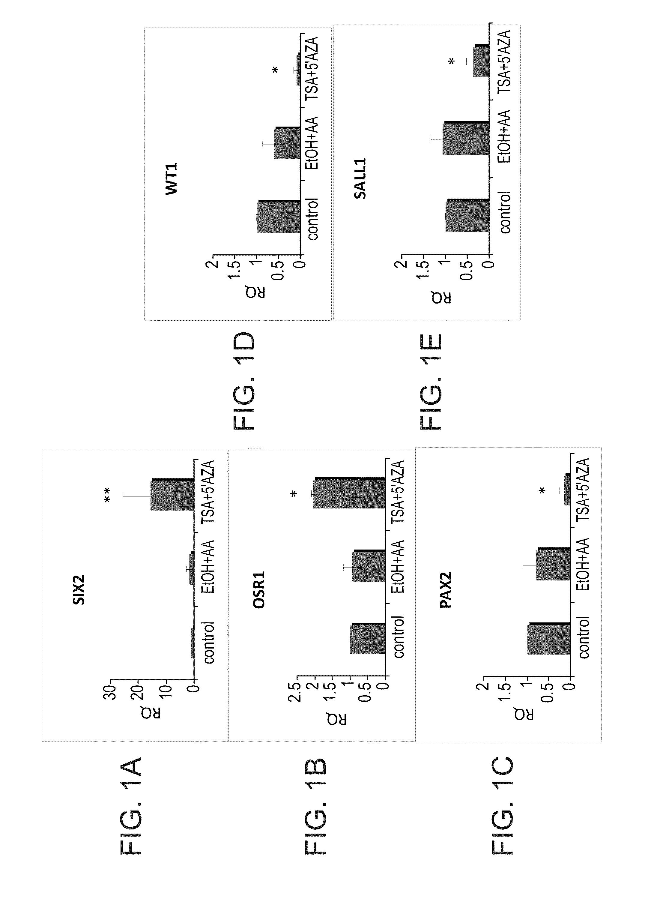 Methods of reprogramming renal cells