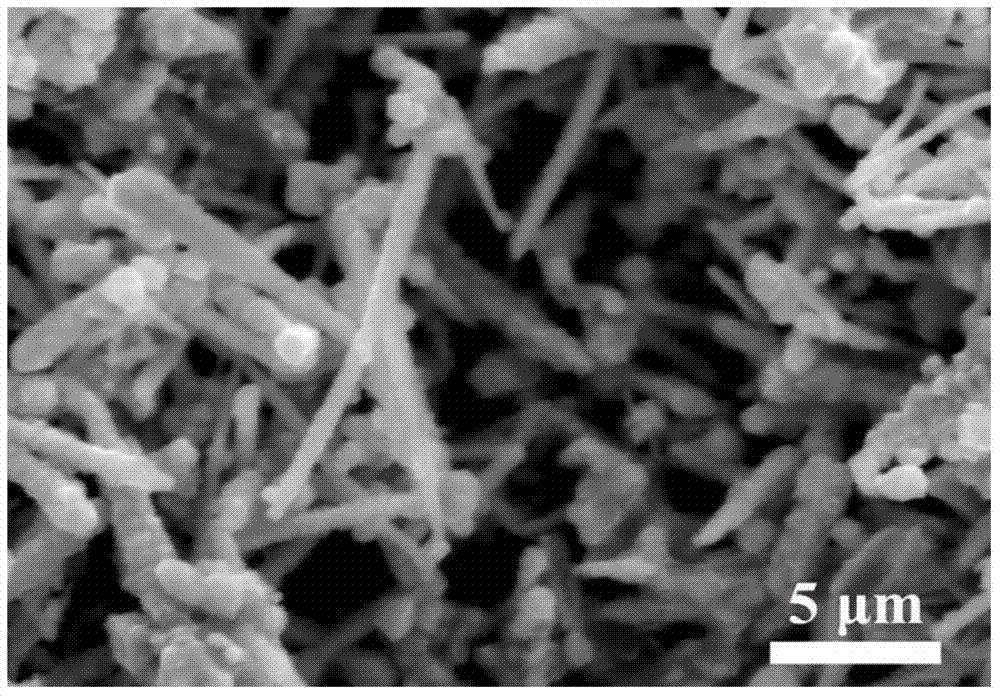 Copper nanowire and preparation method thereof