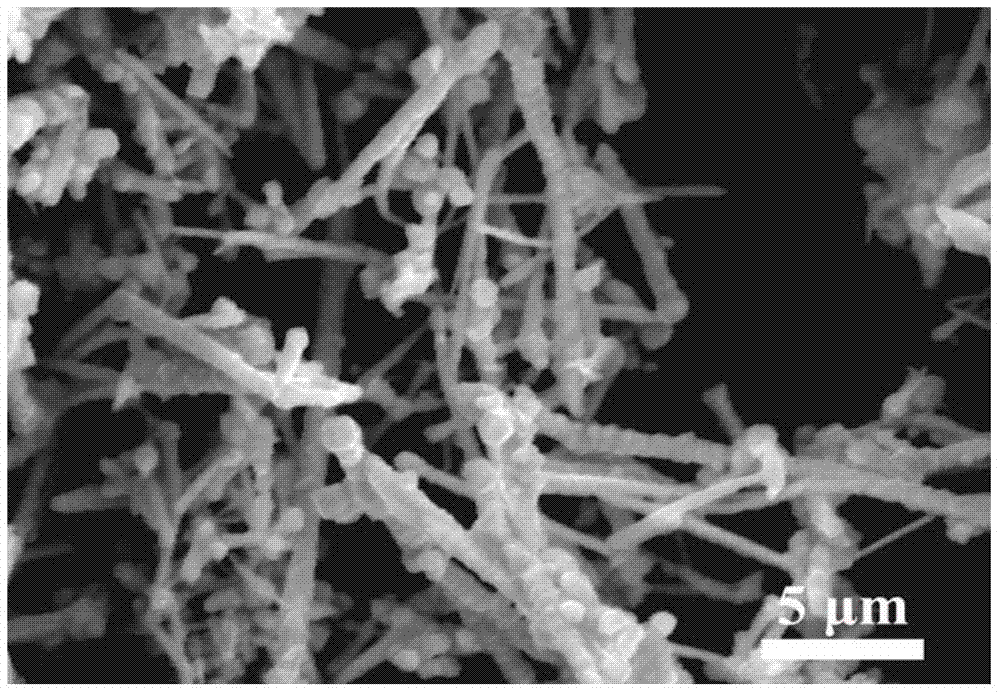 Copper nanowire and preparation method thereof