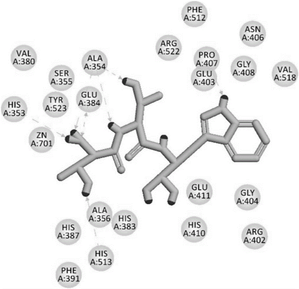 Antihypertensive peptides and antihypertensive proteins and applications thereof