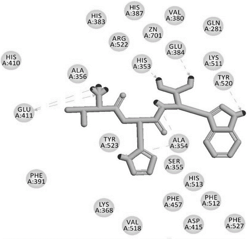 Antihypertensive peptides and antihypertensive proteins and applications thereof