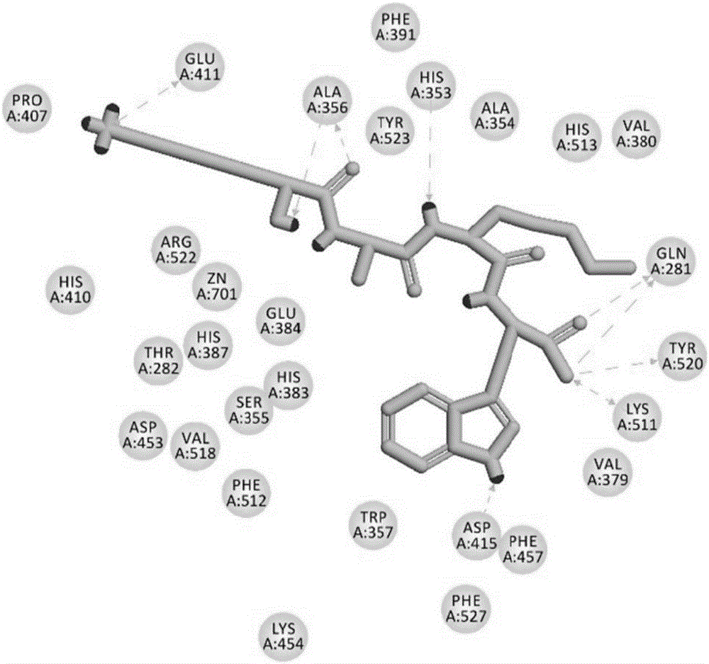 Antihypertensive peptides and antihypertensive proteins and applications thereof