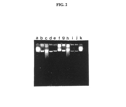 Gel microdrops in genetic analysis