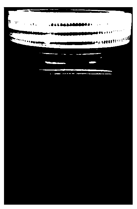 A kind of Acacia open type tissue culture method