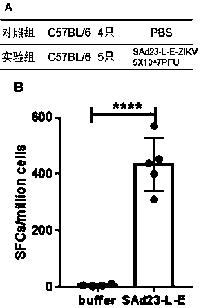 Recombinant adenovirus expression vector SAd23-L