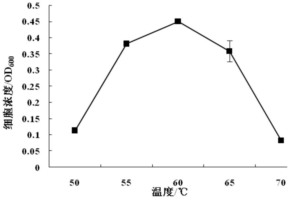 Geobacterium galactose BWTGW1.1 and application thereof