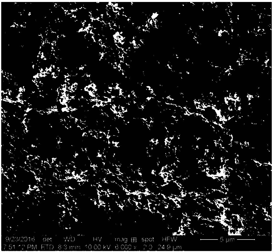 Fluoropolymer/nano SiO2 superhydrophobic coating layer and preparation method thereof