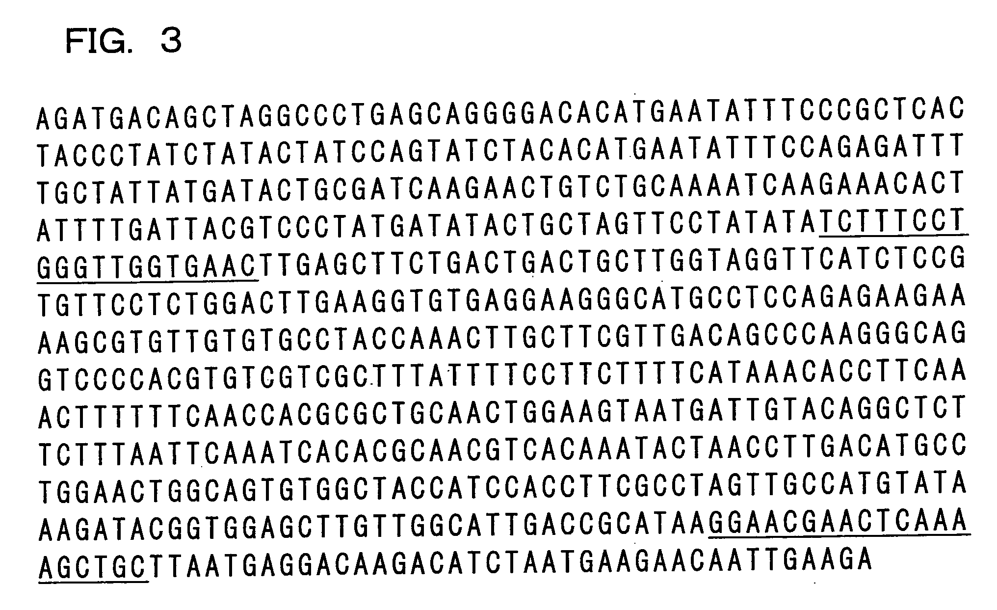 Genetic marker linked to gene locus involved in barley resistance to yellow mosaic disease and use thereof