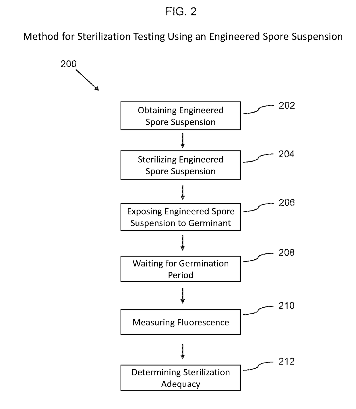 Phenotypic engineering of spores