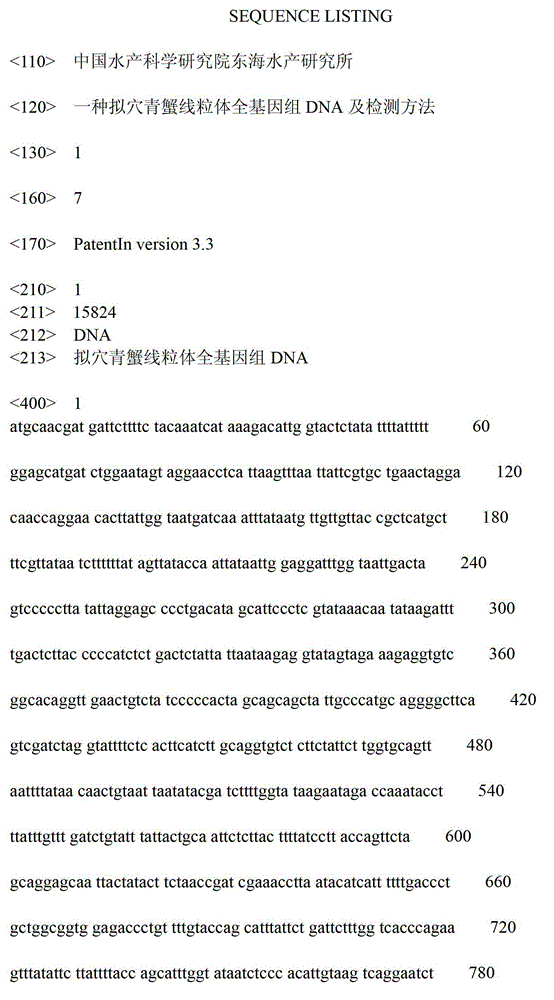 Whole genome DNA of scylla paramamosain mitochondria and testing method