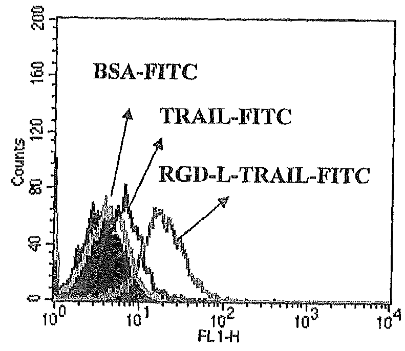 Fusion protein comprising tumor necrosis factor related apoptosis inducing ligand and integrin ligand and use thereof