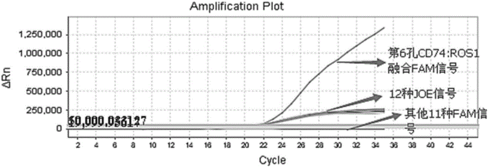 Nucleic acid and kit for detecting human ROS1 fusion genes and application method of kit