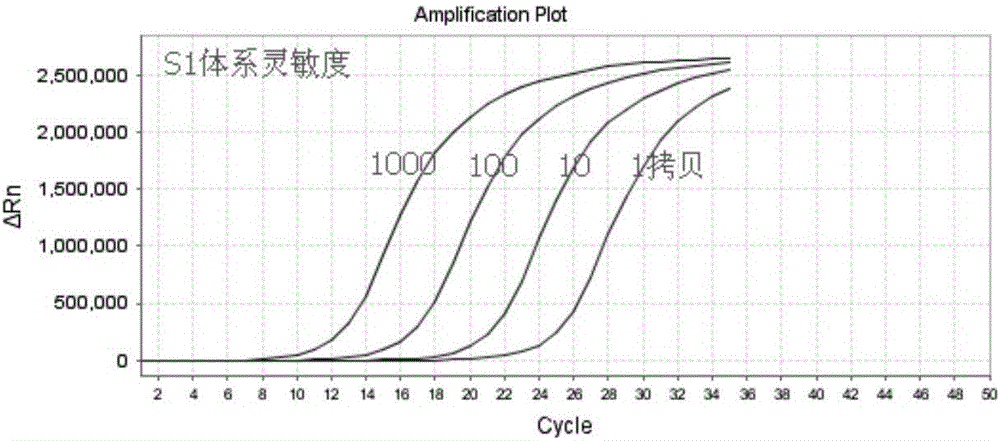 Nucleic acid and kit for detecting human ROS1 fusion genes and application method of kit