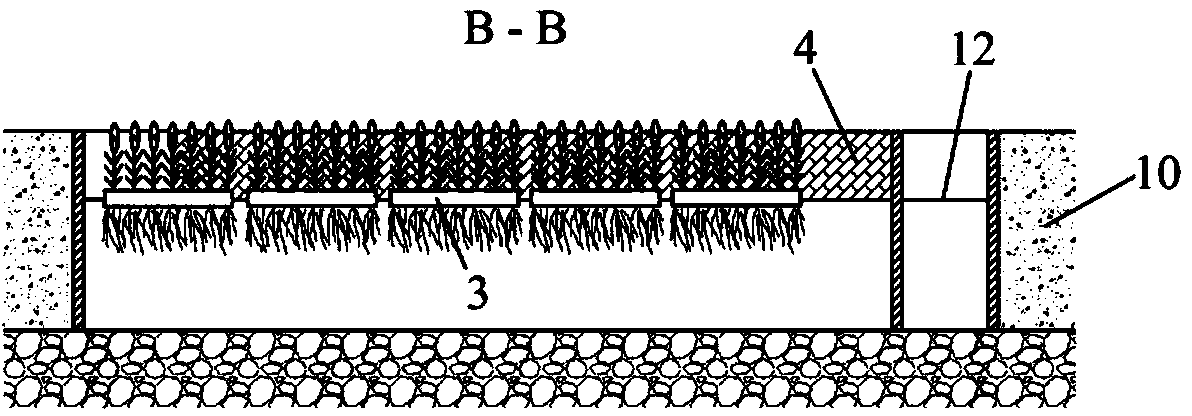 Labyrinth-type ecological purification pool suitable for drainage ditch in farmland