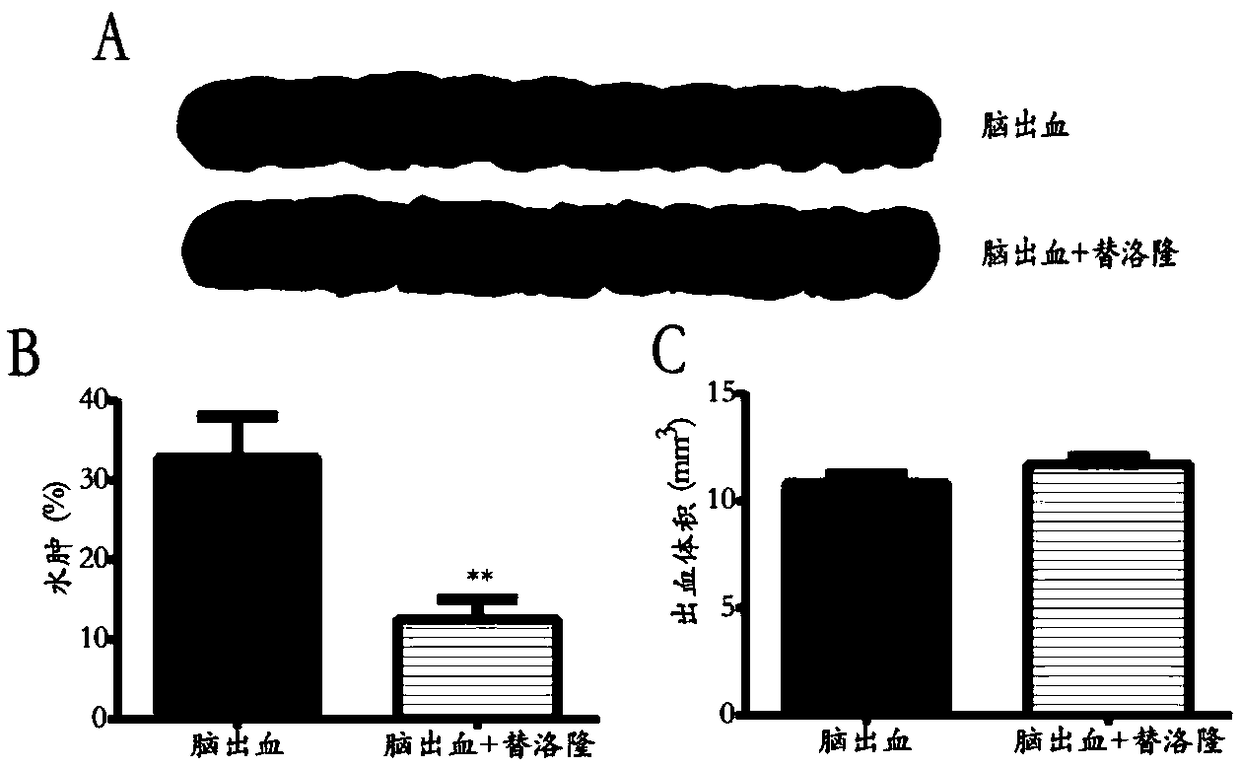 Application of tilorone in preparing medicine for reducing hemorrhagic stroke cerebral edema