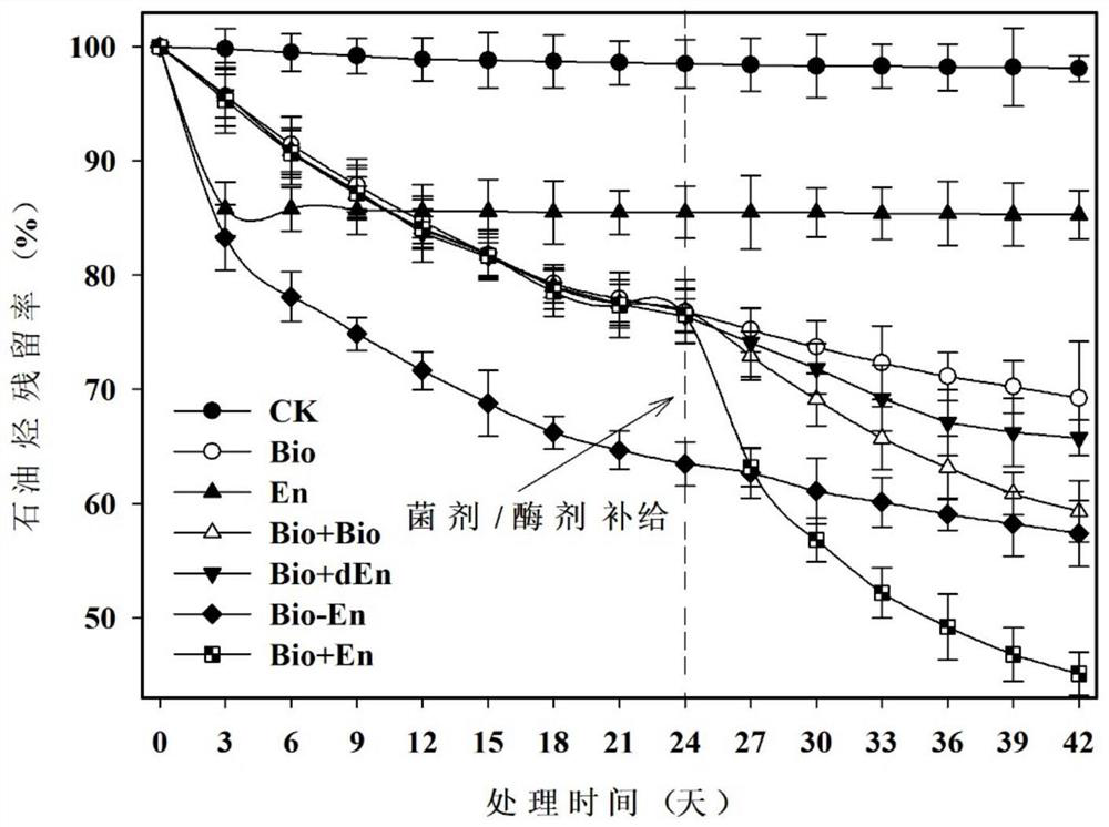 Preparation and Application of a Bacteria-Enzyme Composite Preparation for Petroleum Hydrocarbon Degradation