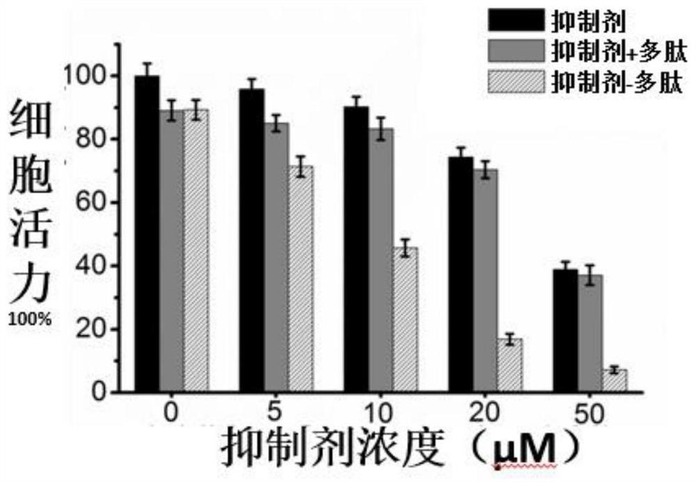 A Polypeptide Liposome Capable of Morphological Transformation in Lysosomes of Tumor Cells