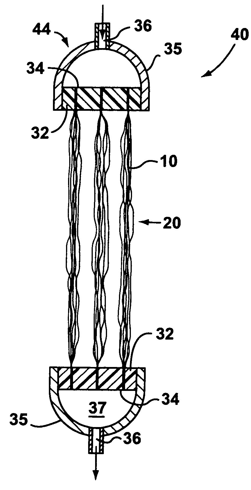 Supported biofilm apparatus and process