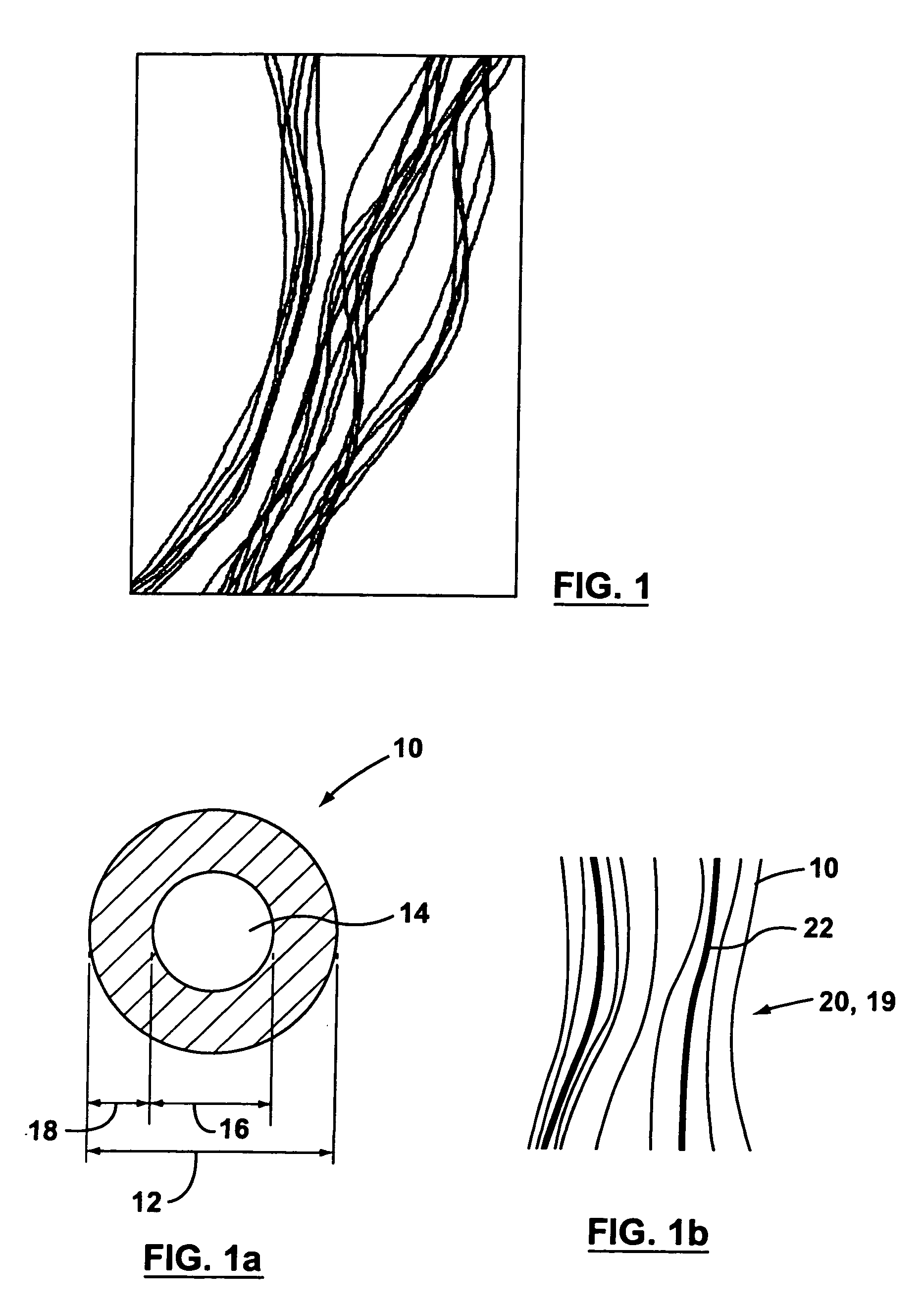 Supported biofilm apparatus and process