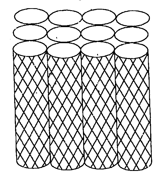 Honeycomb network pipe bio-carrier