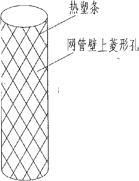 Honeycomb network pipe bio-carrier